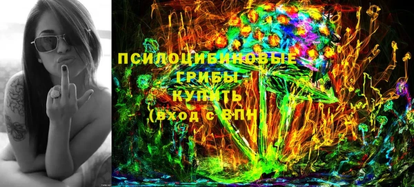 молекула духа Алексин