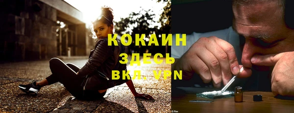 молекула духа Алексин