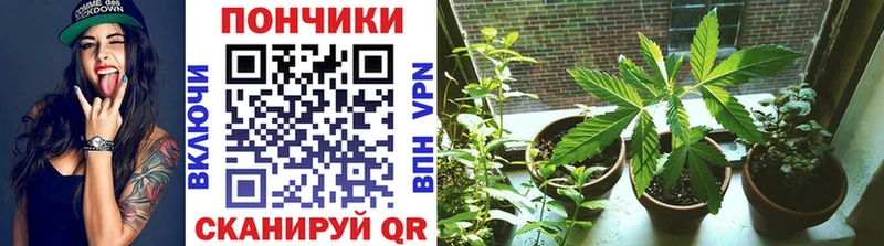 МЕГА онион  Удачный  Конопля план 